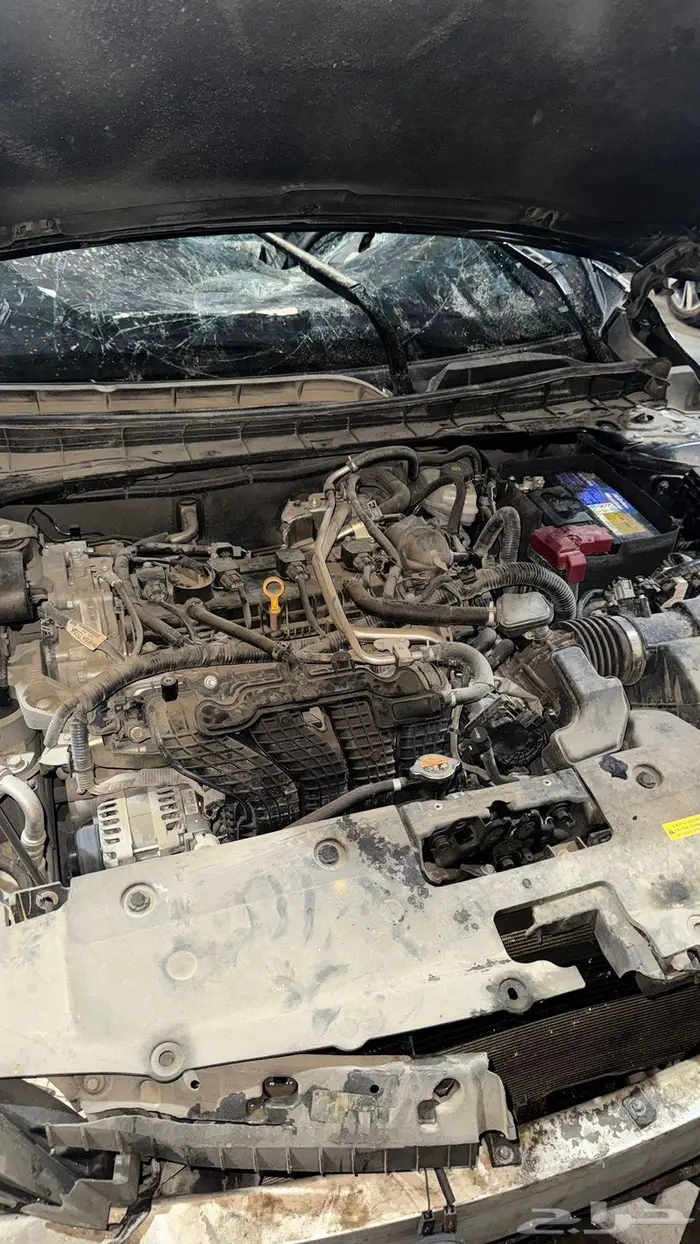 التيما 2023 مصدومة استاندر 12