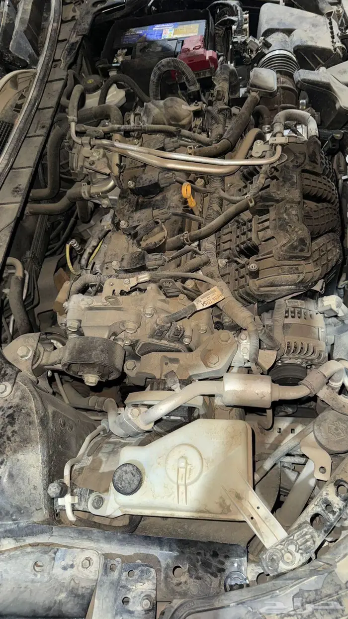 التيما 2023 مصدومة استاندر 9