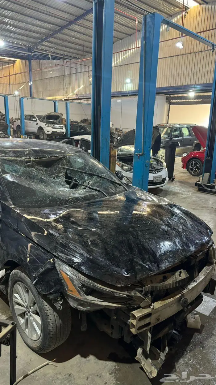 التيما 2023 مصدومة استاندر 5