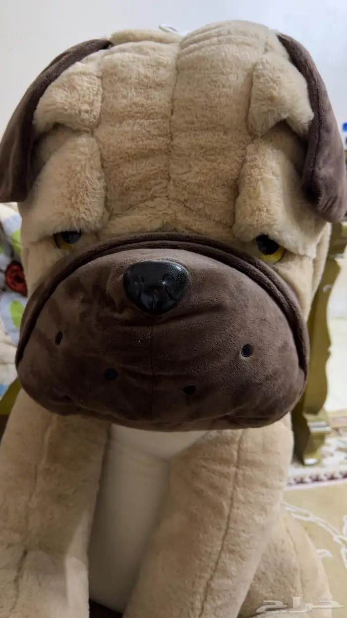 دبدوب السيتي ووك 0