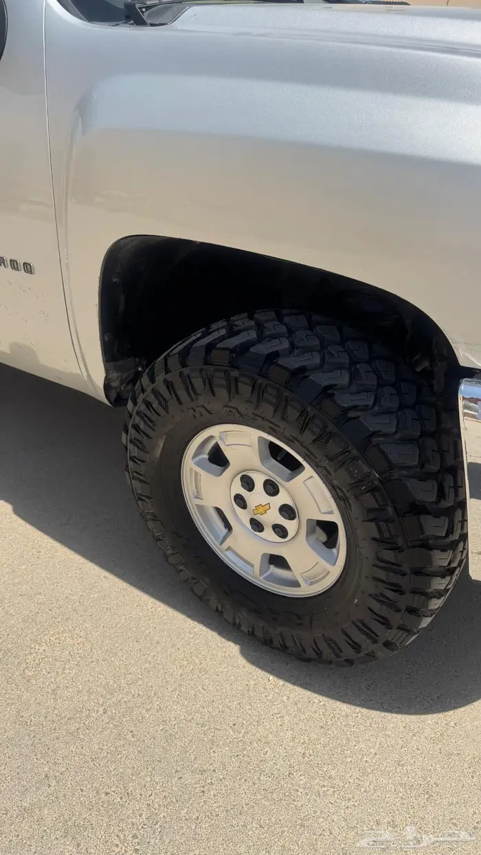 سلفرادو غمارتين 2013 19