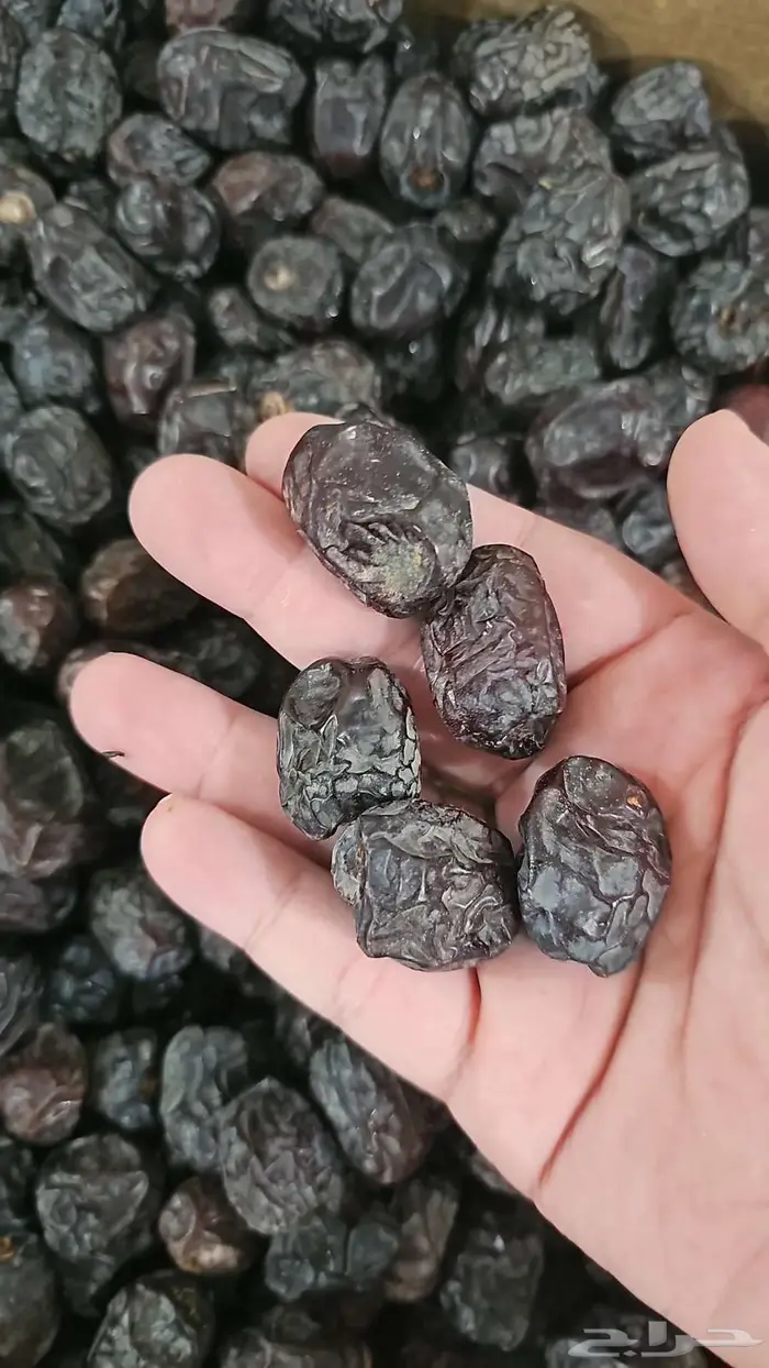 عجوة المدينة المنورة 3