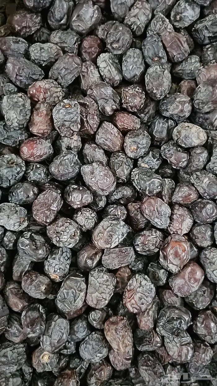 عجوة المدينة المنورة 4