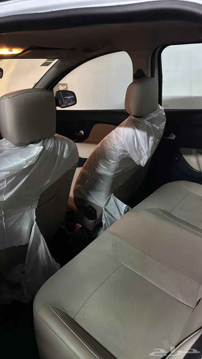 رينو 2019 2