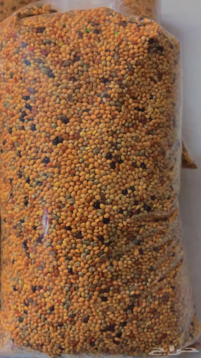 للبيع أكل طيور الحب الكيلو ب10ريال 0