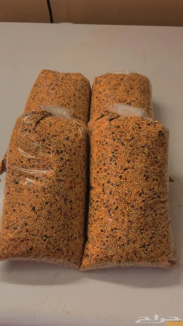 للبيع أكل طيور الحب الكيلو ب10ريال 2