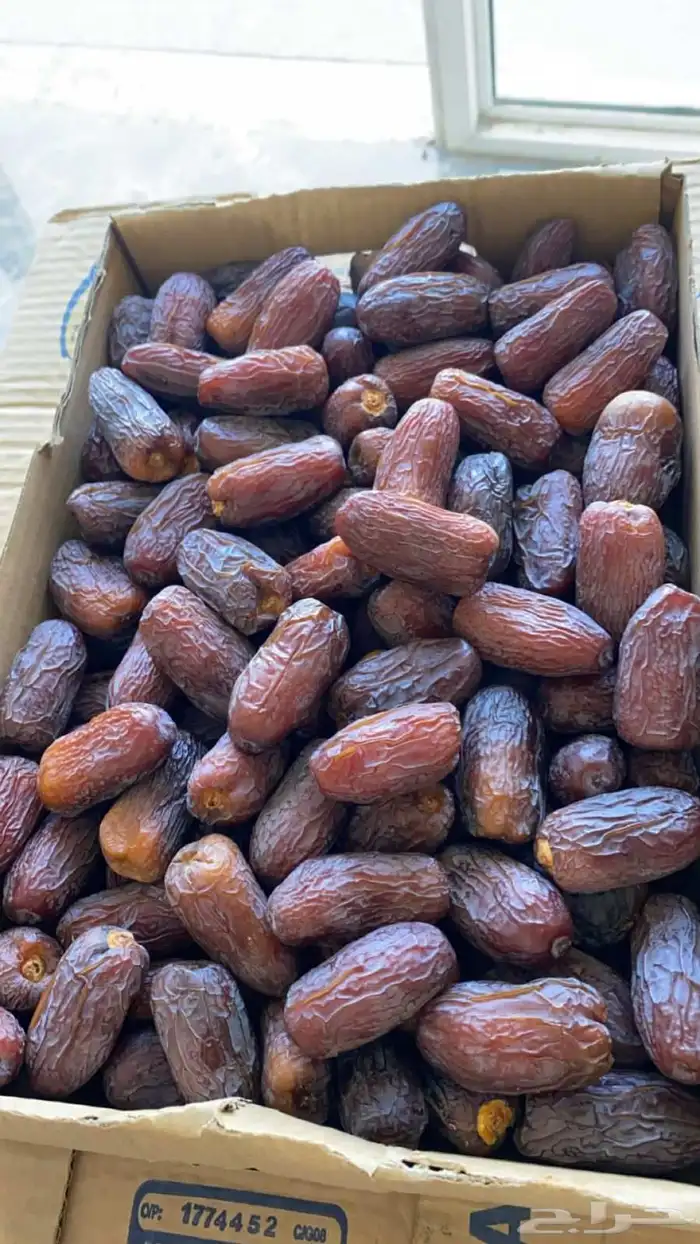 تمر مجدول من هيل و نخيل 1