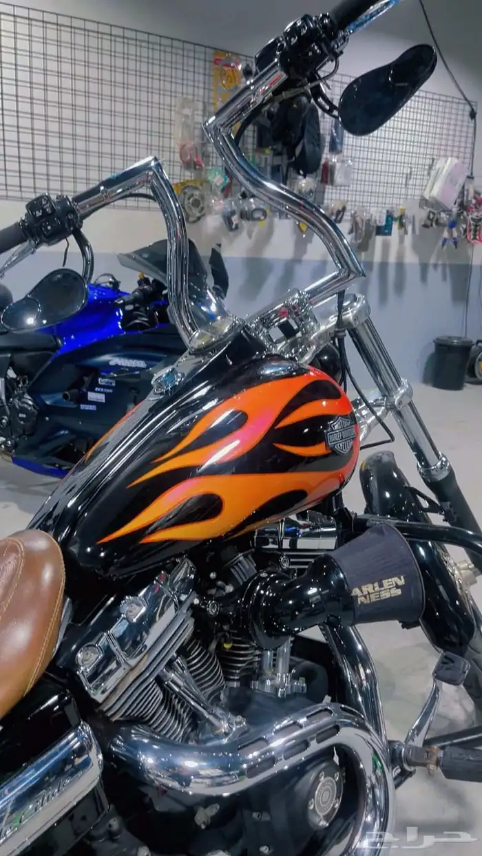 دباب هارلي 3