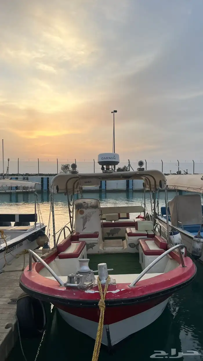 قارب ياماها 9 متر للبيع 9