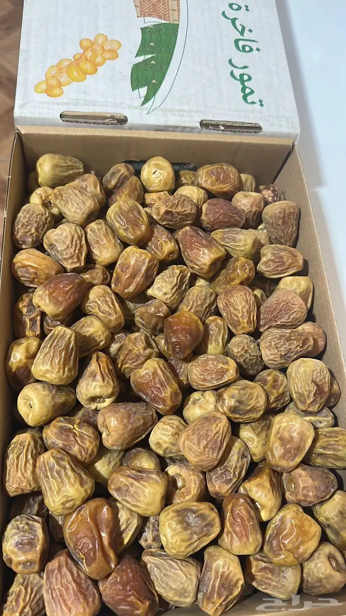 تمر سكري 1