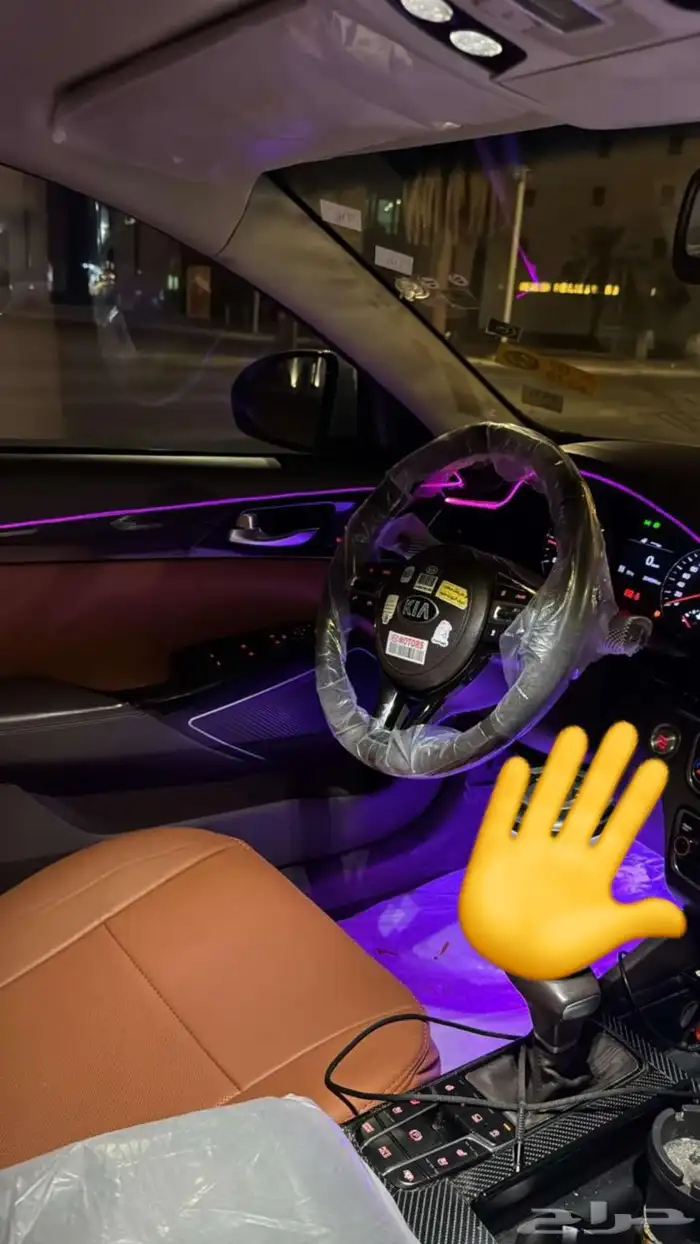 كادنزا للبيع 4