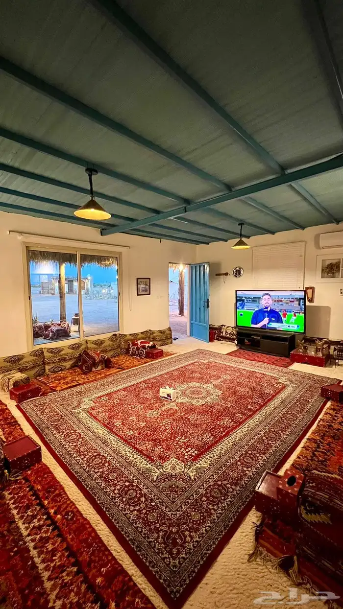 مخيمات دقلة شمال الرياض 8