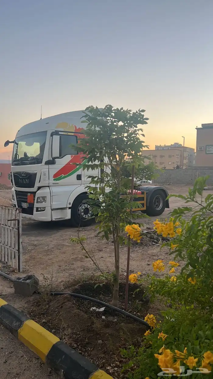 للبيع راس مان 2019 5