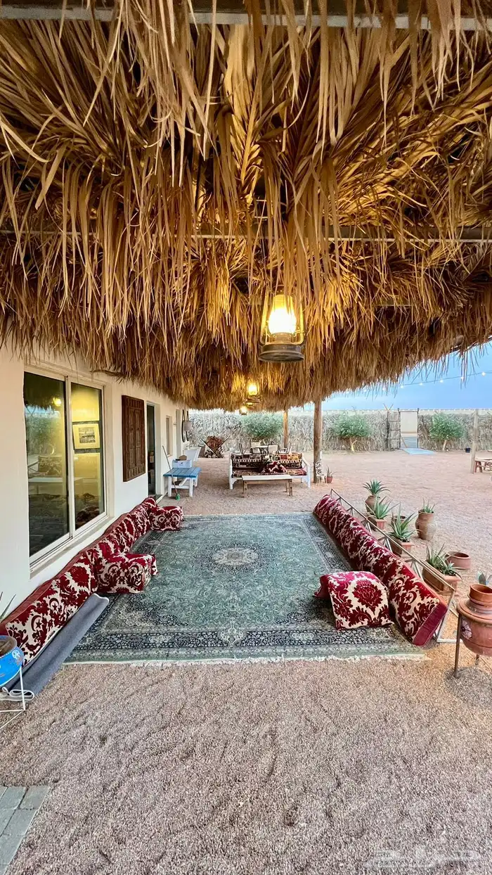 مخيمات دقلة شمال الرياض 0