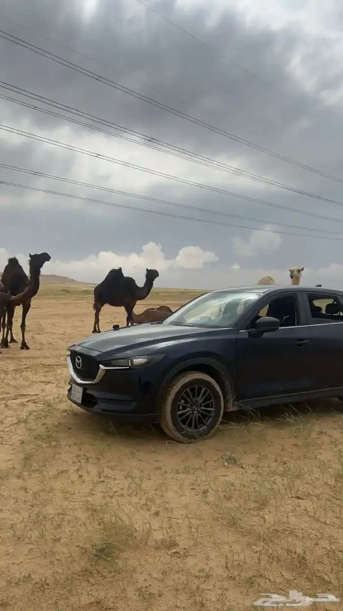 سيارة مازدا 4