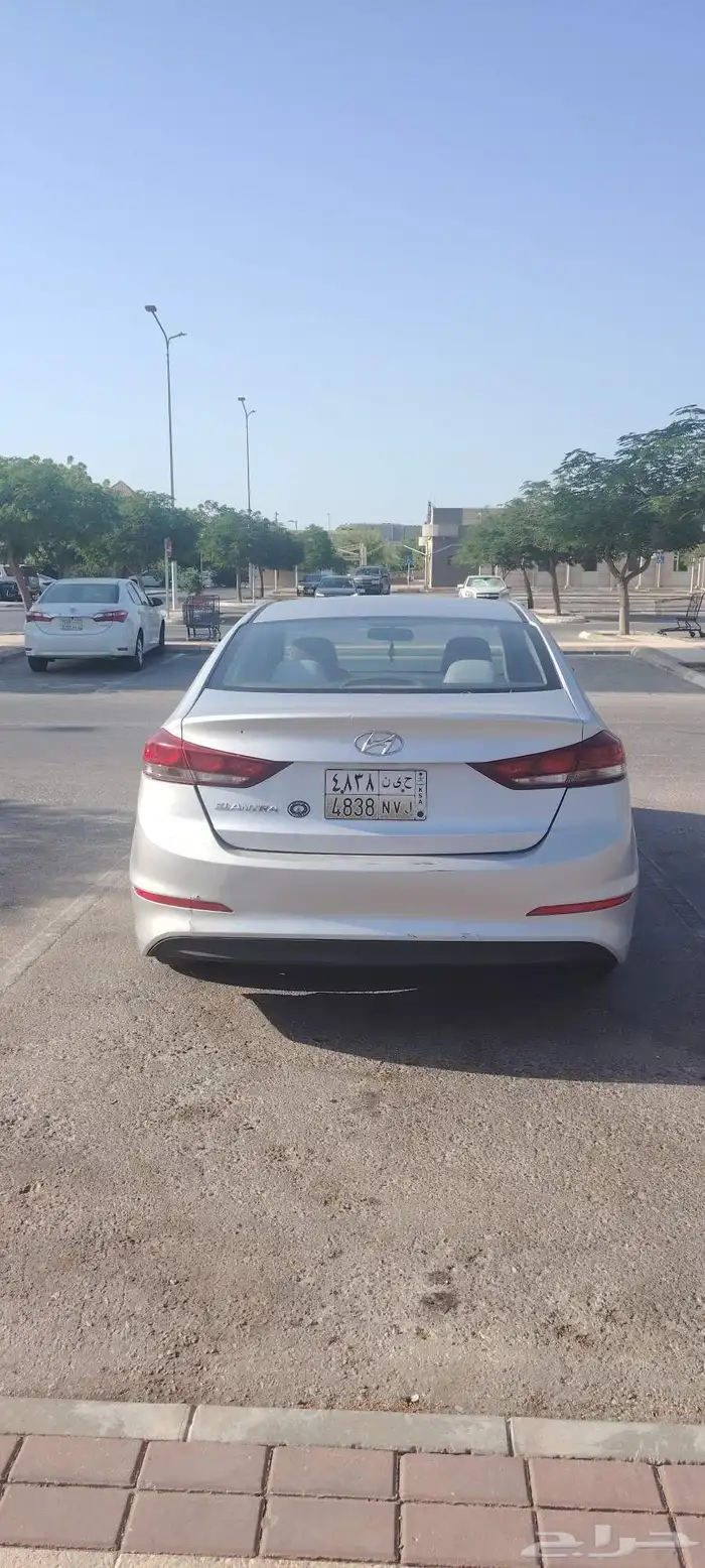 النترا 2017 4