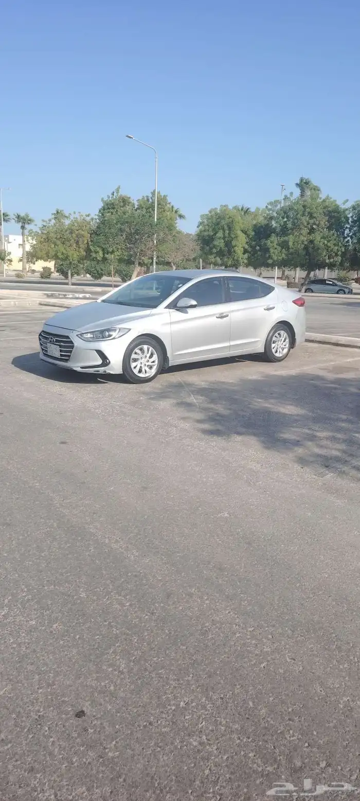 النترا 2017 2
