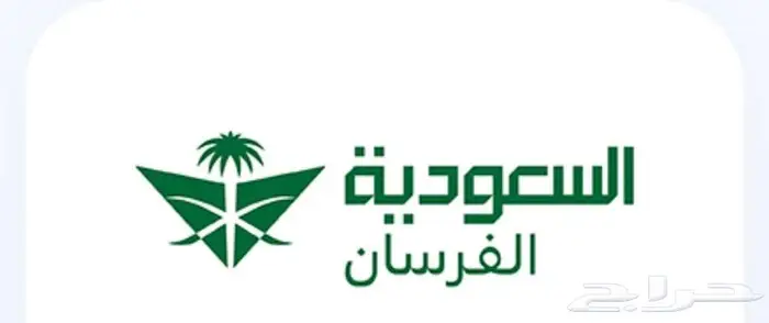 الفرسان الخطوط السعودية 0