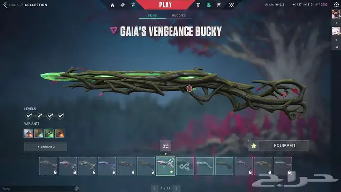 حساب فالورانت تركي تشامبيون 2023 11