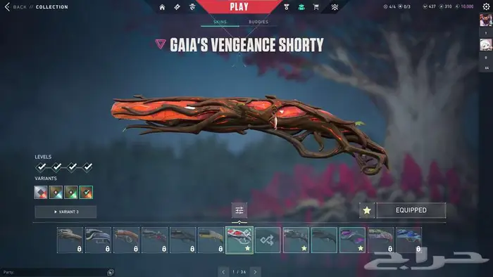 حساب فالورانت تركي تشامبيون 2023 12