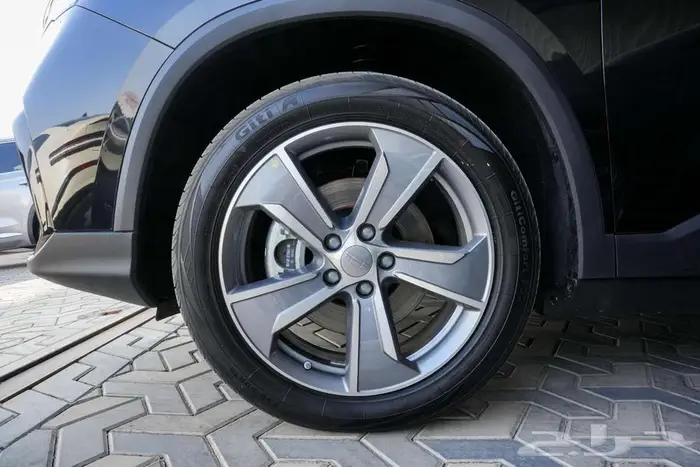 جيلي اوكافانجو 2025 فل كامل - 2025 OKavango 7