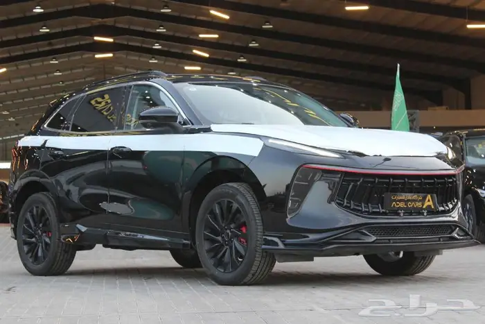 عرض خاص اقل سعر دونغ فينغ فور ثينج T5 EVO 2023 اسبيشل 9