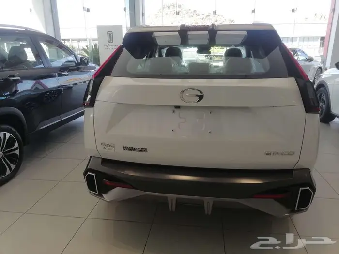 GAC EMKOO GL FULL 2025 4