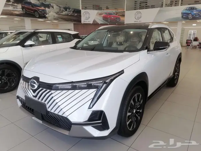 GAC EMKOO GL FULL 2025 1