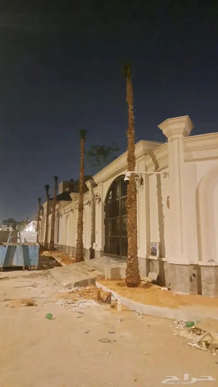 نخل للبيع طالع بتجاه تبوك بجميع مقاساته 8