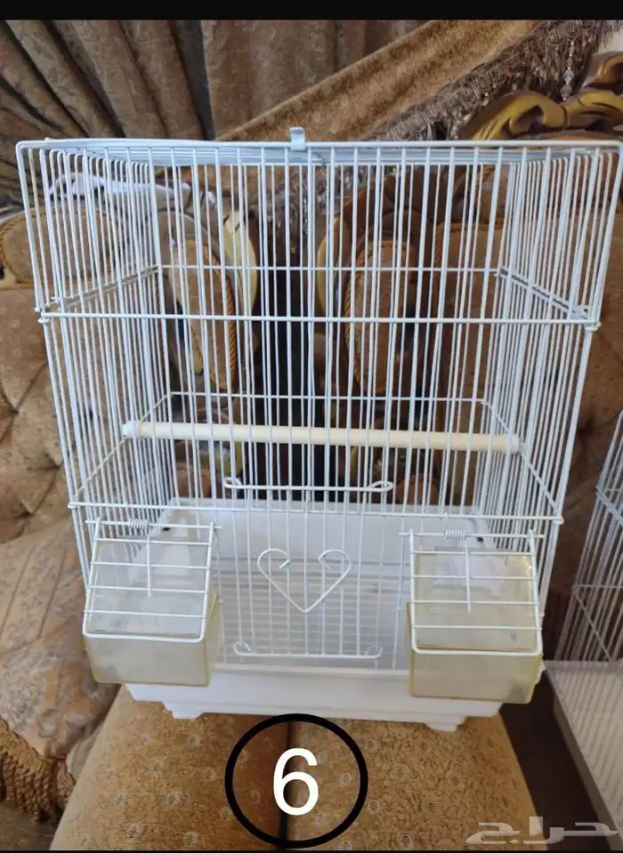 قفص - اقفاص - طيور زينة 5