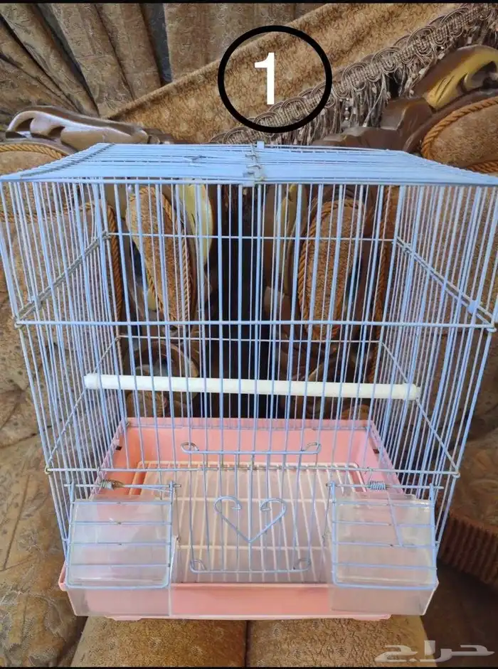 قفص - اقفاص - طيور زينة 0