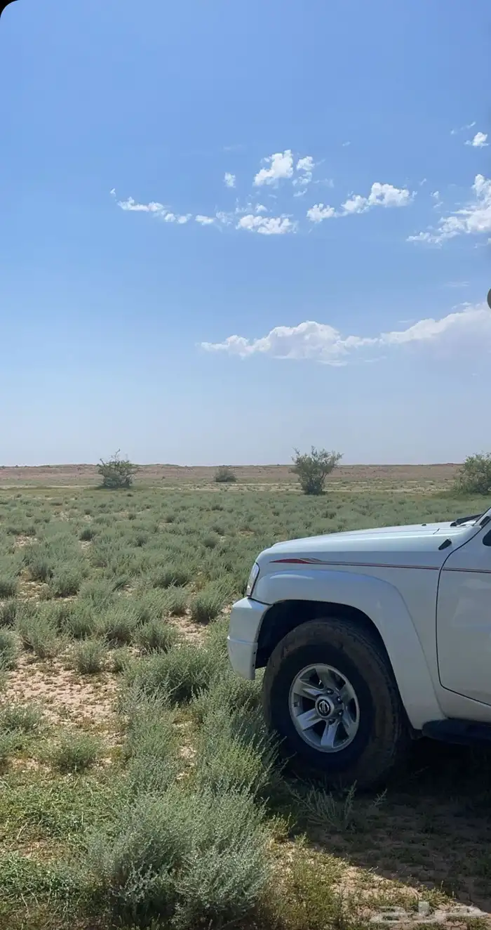 نيسان باترول ربع 10