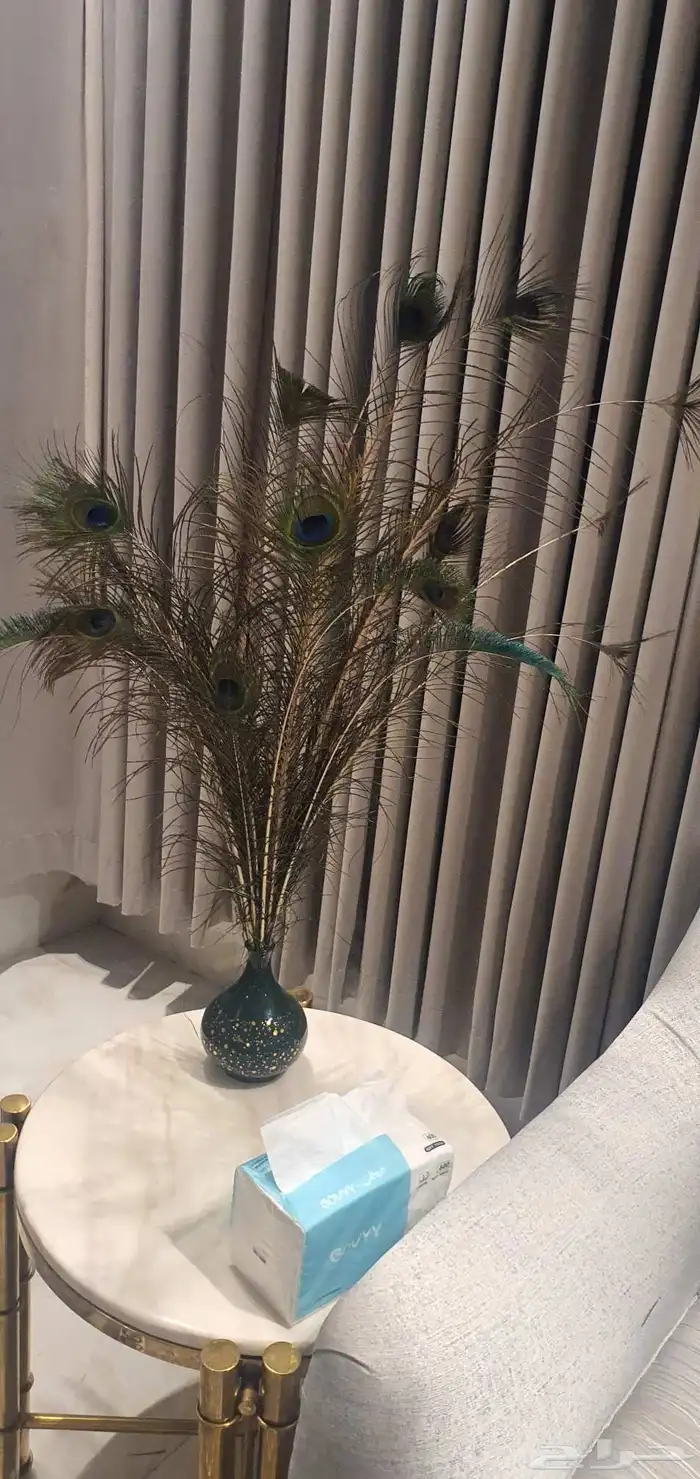 مزهريات ريش طاووس طبيعية 2