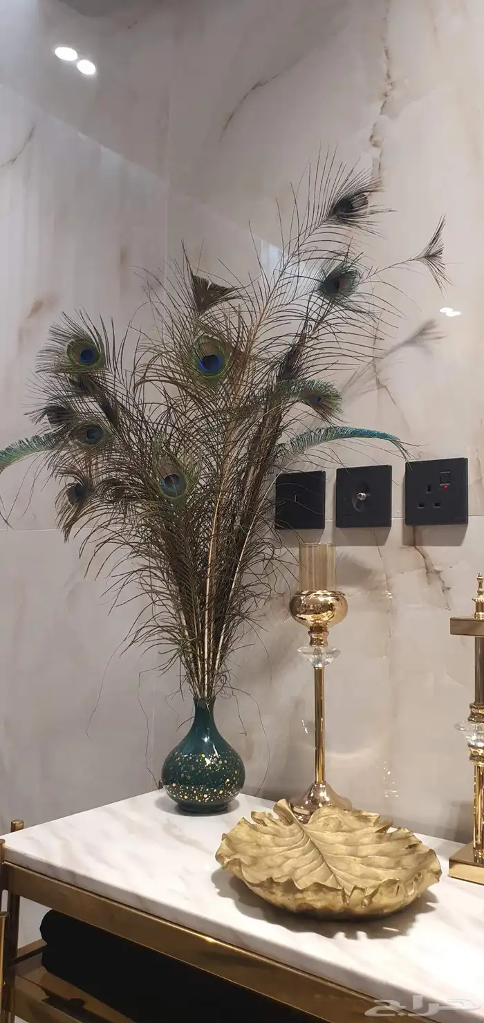 مزهريات ريش طاووس طبيعية 1