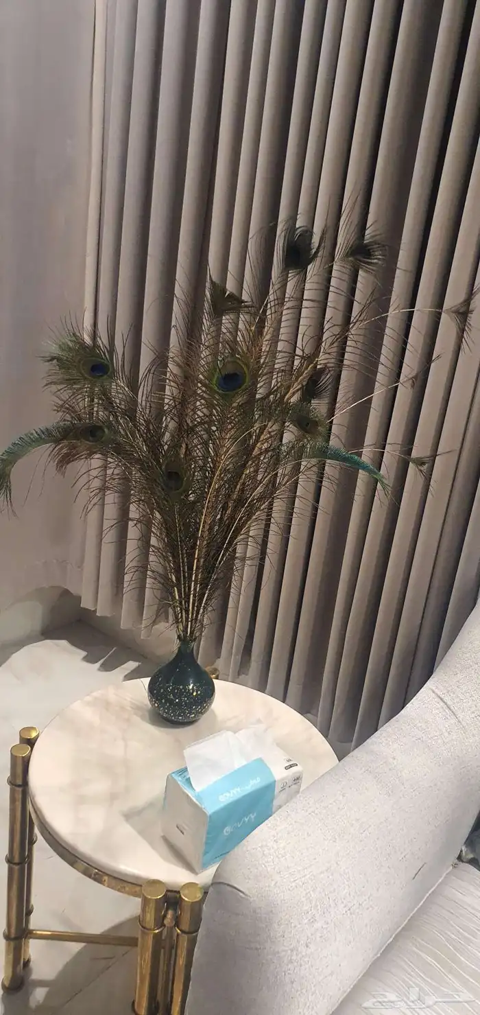 مزهريات ريش طاووس طبيعية 3