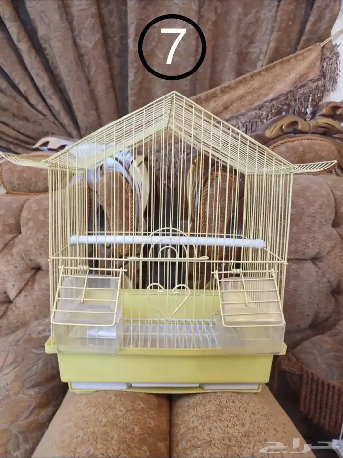 قفص - اقفاص - طيور زينة 6