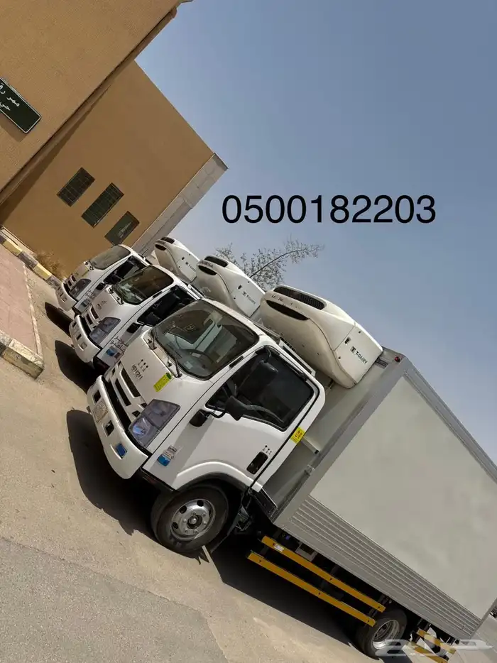 للإيجار ديماكسايسوزو 3