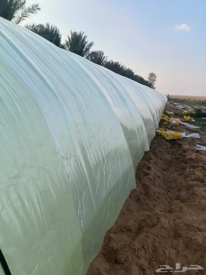 شركة قطاف للبيوت المحمية بالسعودية بأسعار مناسبة 6