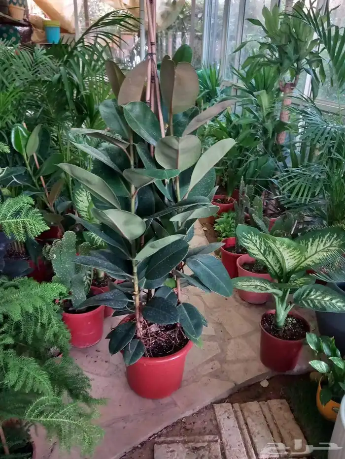 مشتل لتنسيق الحدائق 0