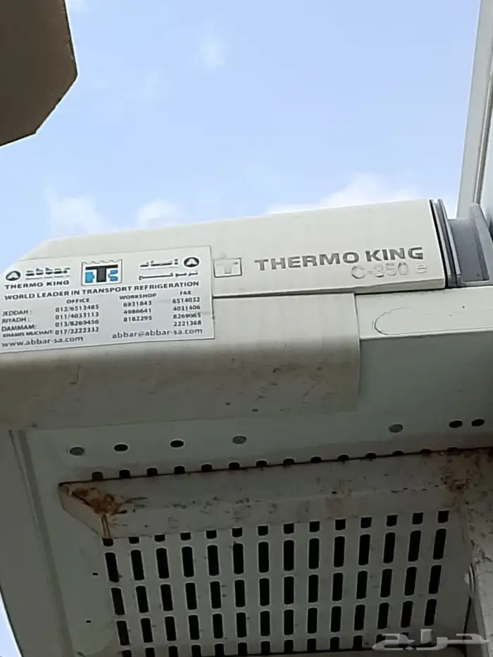 دينا ايسوزو 2020 4