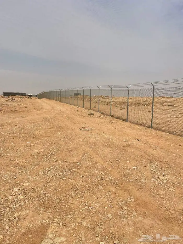 مقول شبوك بجميع الموصفت وزرعت نخيل 7