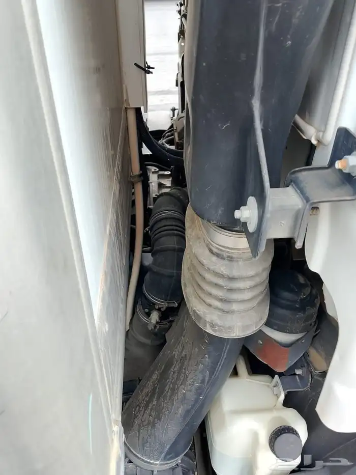 دينا ايسوزو 2020 2