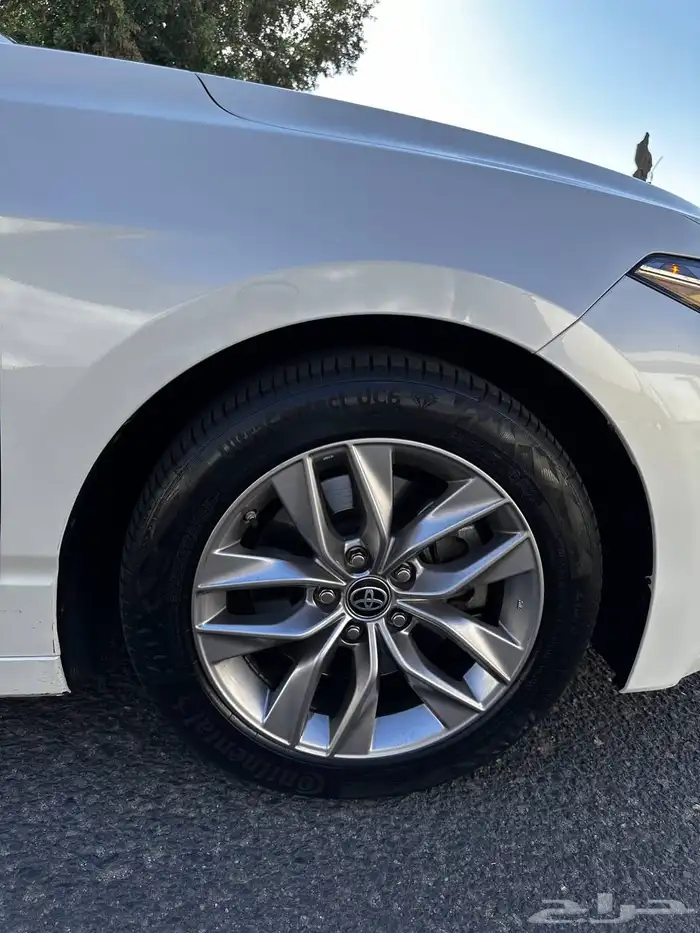 افالون 2021 تورنق سعودي 8