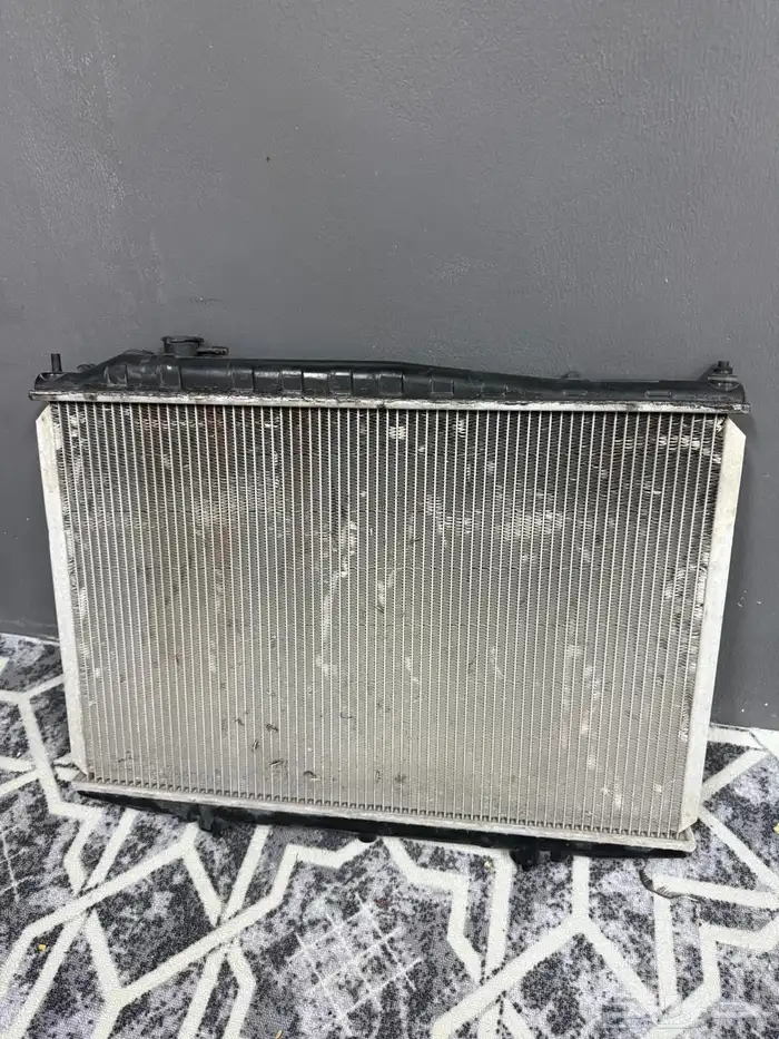 رديتر ددسن اردني 0