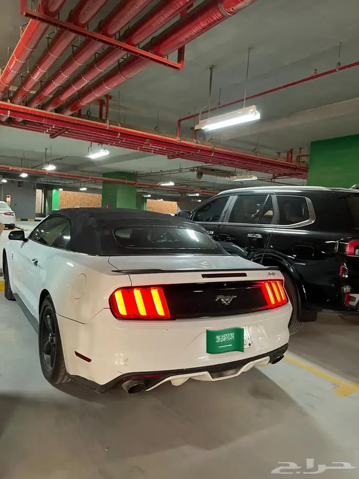 موستنق 2016 كشف 4 سلندر تيربو 1