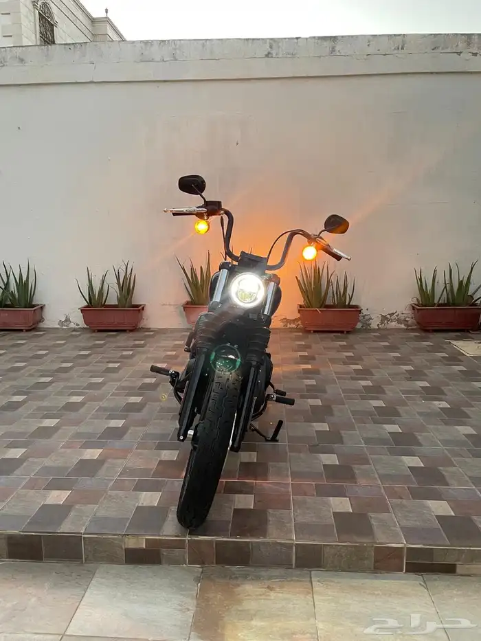 للبيع دباب هارلي 2