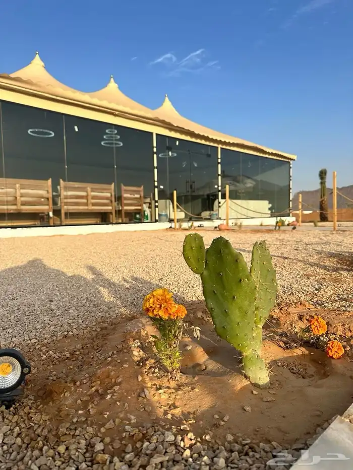 مخيم فاخر للايجار فترة الشتاء 0