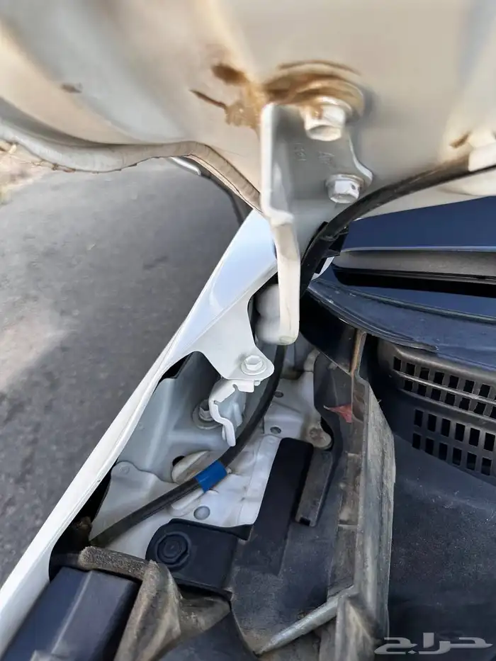 افالون 2021 تورنق سعودي 29