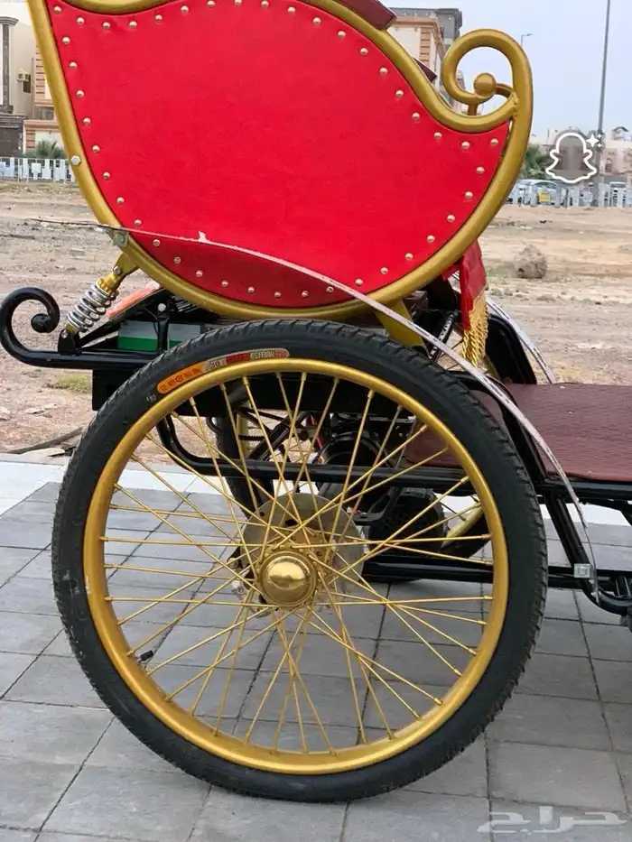 عربه تسوق وتنزه كهربائيه ثقيله لنقل الركاب 2