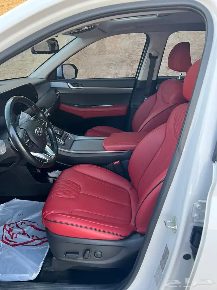 باليسيد هيونداي 11